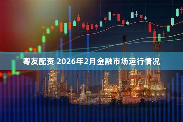 粤友配资 2026年2月金融市场运行情况