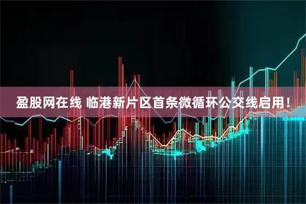 盈股网在线 临港新片区首条微循环公交线启用！